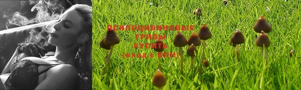 дживик Лихославль