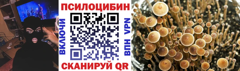 Галлюциногенные грибы мухоморы  Топки 