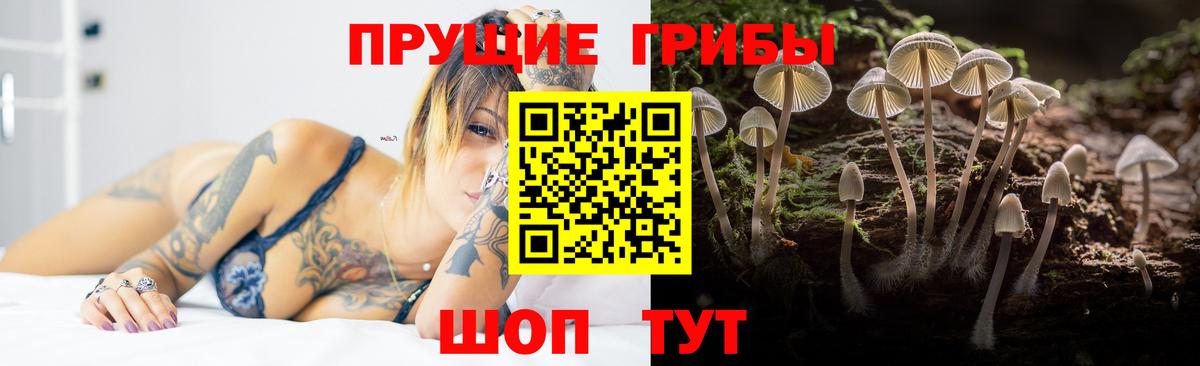 Псилоцибиновые грибы ЛСД  Топки 