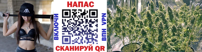 дарнет шоп  Топки  Шишки марихуана Ganja 